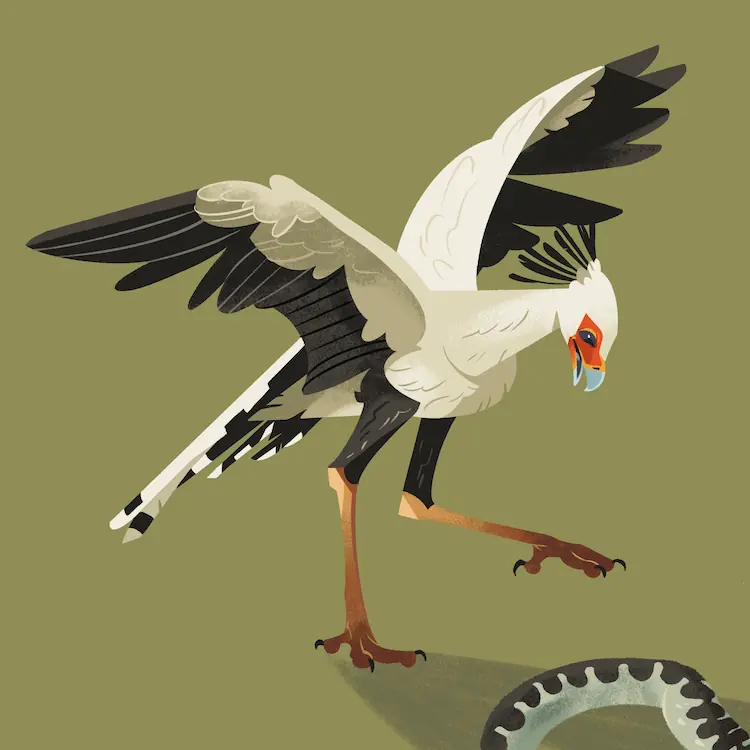 Secretary Bird