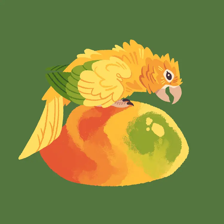 Golden Conure