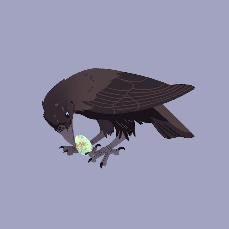 ʻalalā, or Hawaiian Crow