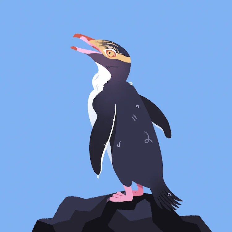 Yellow-Eyed Penguin