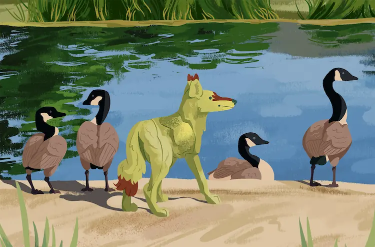 A painting of a mock product review of a coyote decoy, coloured like Sheyote. The reviewer has rated the product 1/5 stars. The review is titled 'Geese like partying with this coyote', and the review reads 'Does not work. Geese like hanging out with it. See Photo.'