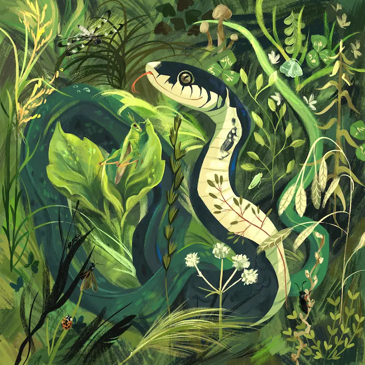A painting of a snake in wild grasses, with various bugs hidden throughout the grass.