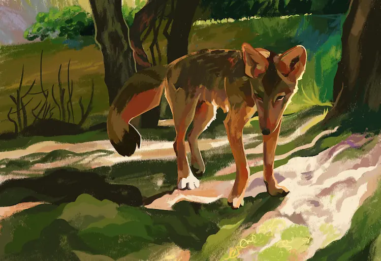 A painting of a coyote beside a river, shadow and light being casted from the right.