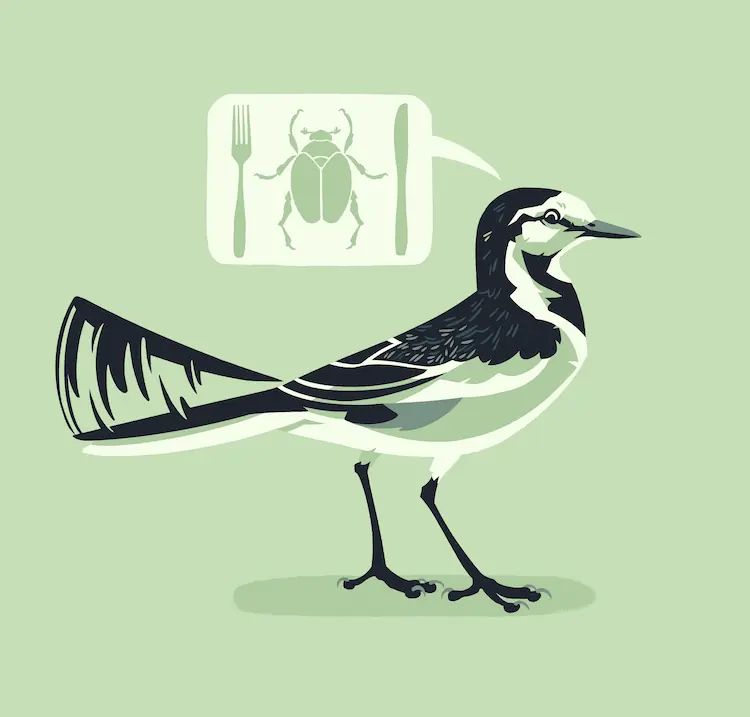 A painting of a Japanese wagtail, from the side, wagging its tail up and down. There's a speech bubble coming out of it, with an illustration of a scarab beetle with a fork and a knife on either side.