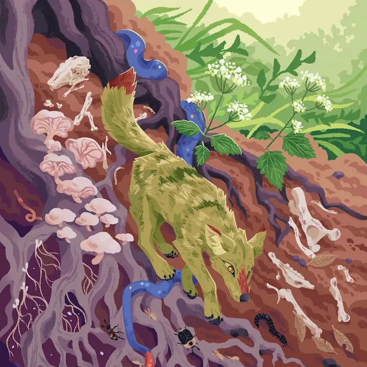 A painting of a coyote descending down tree roots; a gradient of plants, to roots and dirt, to a cosmic sort sort of pattern exists from top to bottom. Mushrooms and insects cover the roots, bones are scattered amongst the dirt. A blue snake with a red tail trails down along the roots.