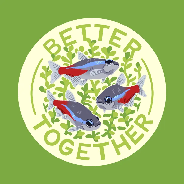 An illustration of three neon tetras arranged on a circular badge, in front of stalks of baby tears, the the text 