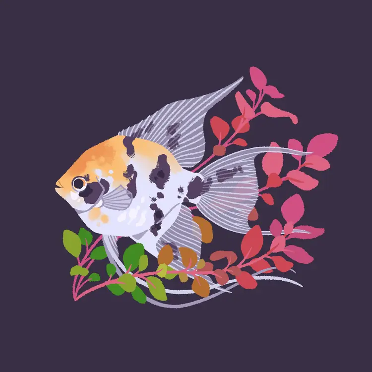A painting of a white and yellow freshwater angelfish, with dark grey spots. It's swimming amongst stalks of ludwigia repens, the leaves in a gradient from green to pink along the stem from base to tip.