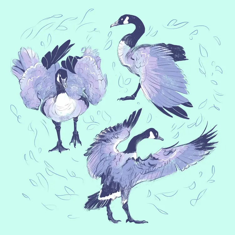 A painting of three canadian geese, in various poses. The geese are coloured in shades of purple.