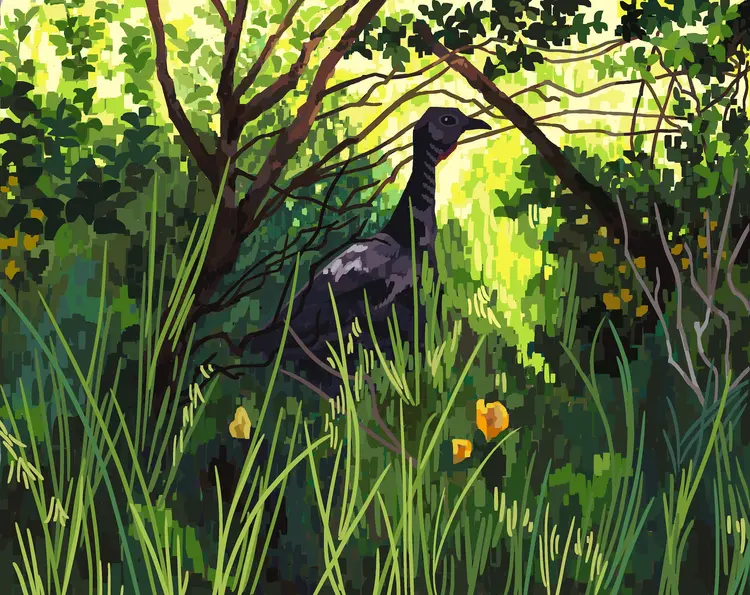 A painting of a turkey in the shadow of a dense underbrush.