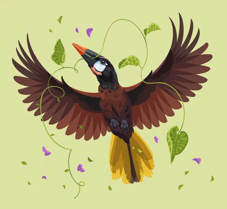 A painting of a montezuma oropendola, flying with vine in its mouth. There are small pieces of leaves and purple petals scattered around it.