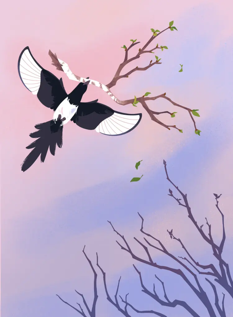 A painting of a black-billed magpie flying with a large birch tree branch in its beak, viewed from below, against a pink and purple sky.
