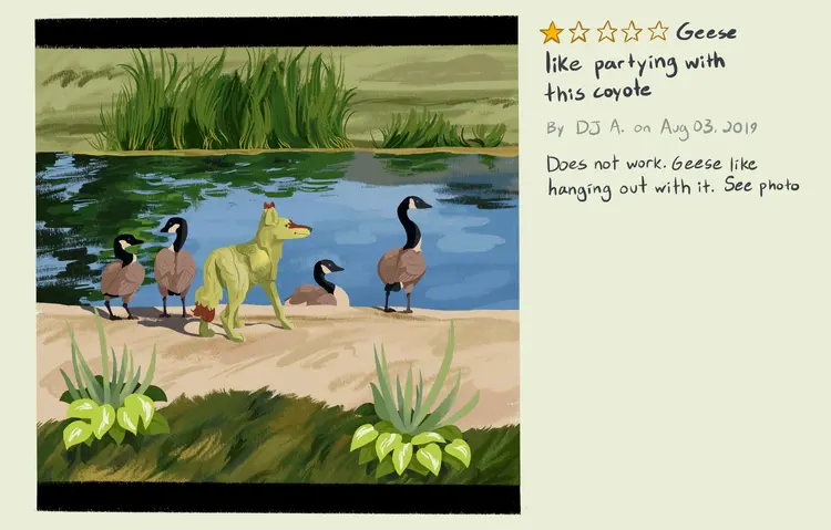 A painting of a mock product review of a coyote decoy, coloured like Sheyote. The reviewer has rated the product 1/5 stars. The review is titled 'Geese like partying with this coyote', and the review reads 'Does not work. Geese like hanging out with it. See Photo.'
