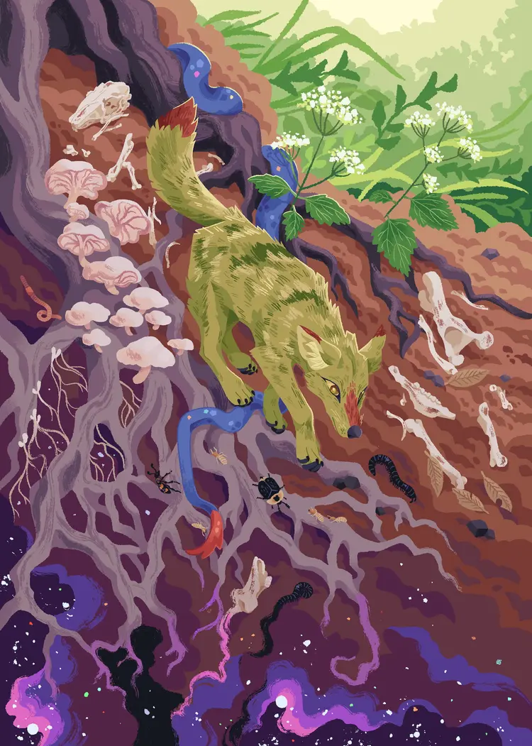 A painting of a coyote descending down tree roots; a gradient of plants, to roots and dirt, to a cosmic sort sort of pattern exists from top to bottom. Mushrooms and insects cover the roots, bones are scattered amongst the dirt. A blue snake with a red tail trails down along the roots.