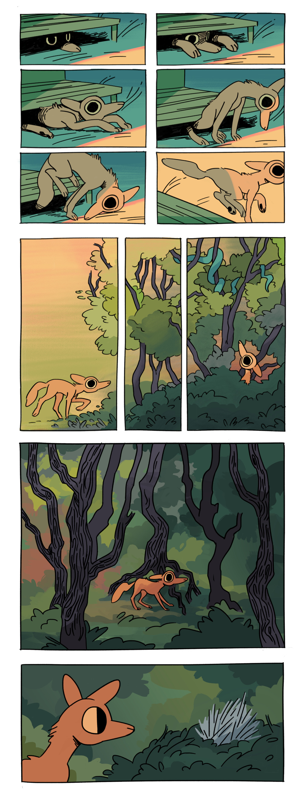 Page 1: a coyote squeezes its way out of the darkness underneath a low porch. It stumbles its way into the warm orange light. It enters a forest, looking at a snake high up in the branches on its way in. It pauses, fearful, once it realizes the thickness and darkness of the woods. But it is distracted by spines poking out of a nearby bush.